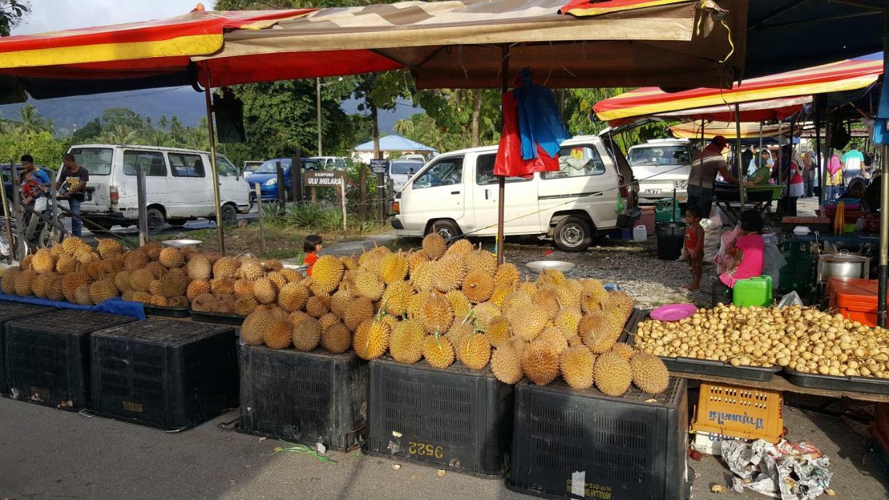 Padang Mat Sirat Sabandy House B&B المظهر الخارجي الصورة