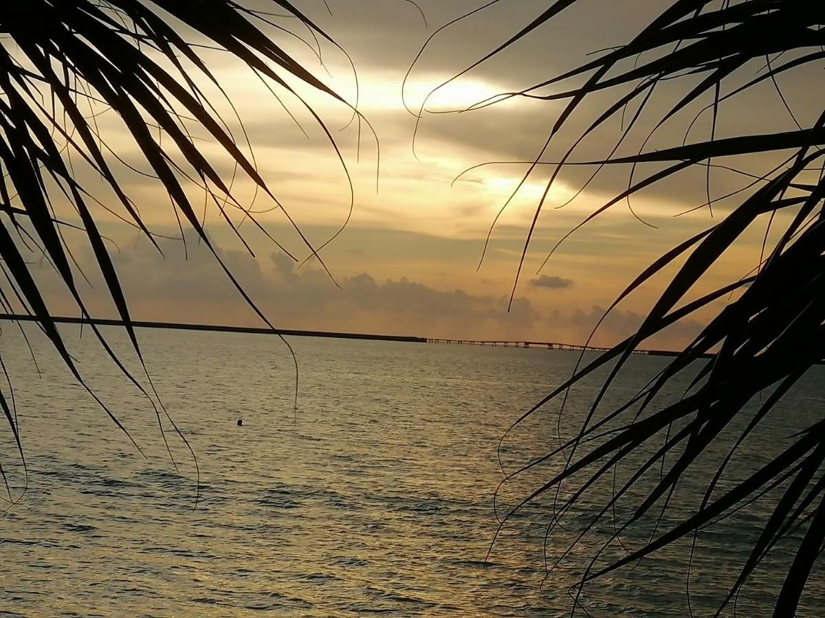 Padang Mat Sirat Sabandy House B&B المظهر الخارجي الصورة