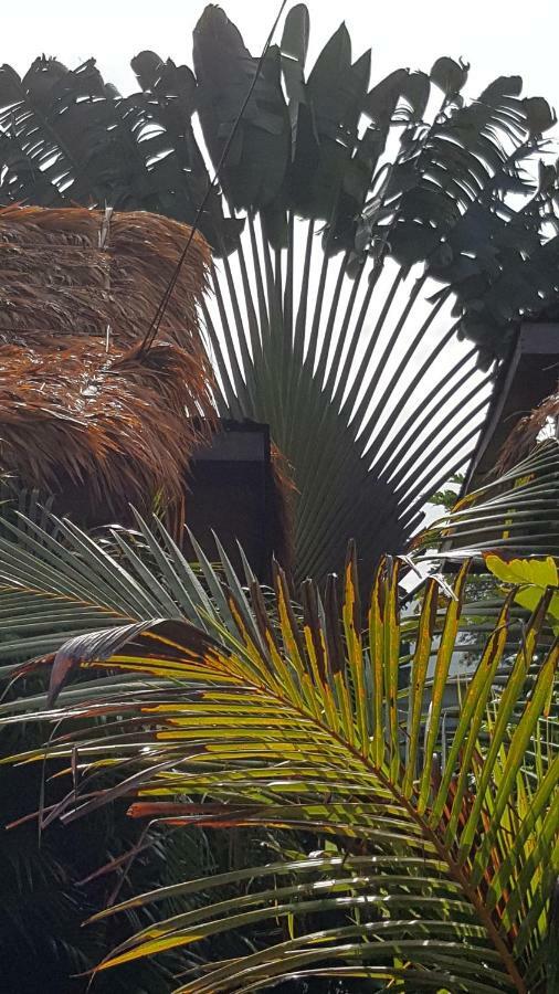 Padang Mat Sirat Sabandy House B&B المظهر الخارجي الصورة
